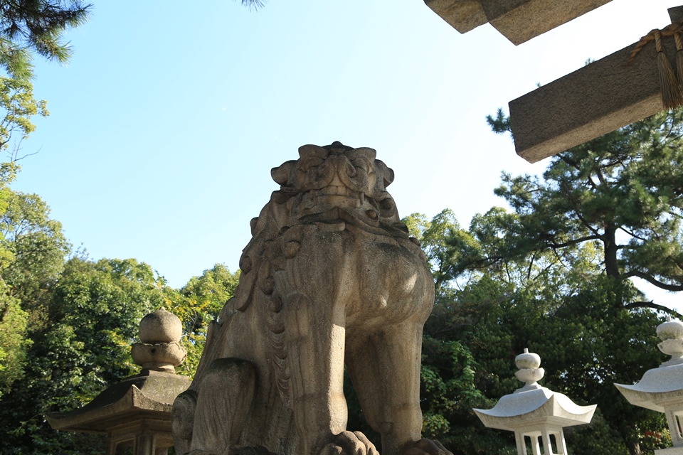 ◆◆新品　ＤＶＤ　自然の中の神々10　住吉大社　春日大社◆◆　●● 神社百景DVDコレクション | デアゴスティーニ公式